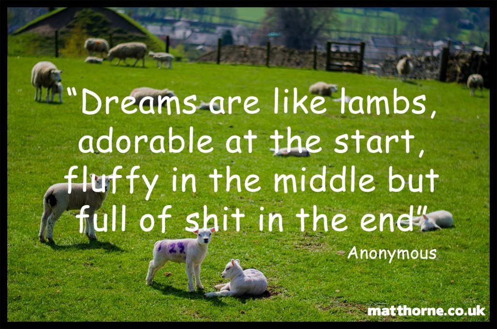 “Dreams are like lambs, adorable at the start, fluffy in the middle but full of shit in the end” 